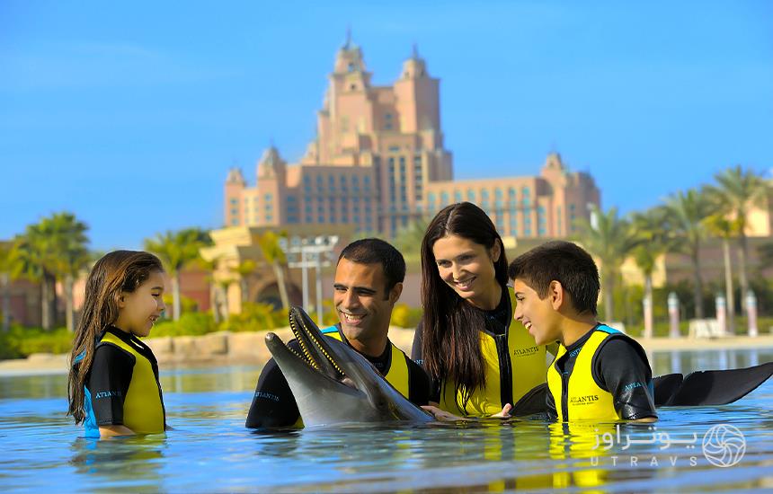 swimming with dolphins in Dubai